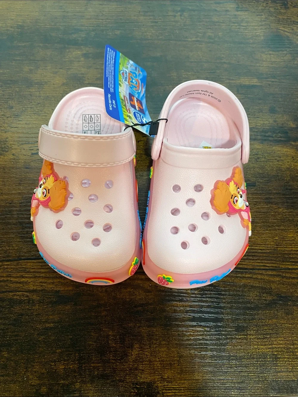 Paw Patrol Pink Girls' Slip-On Clog Sandals with Character Charms (lights up)